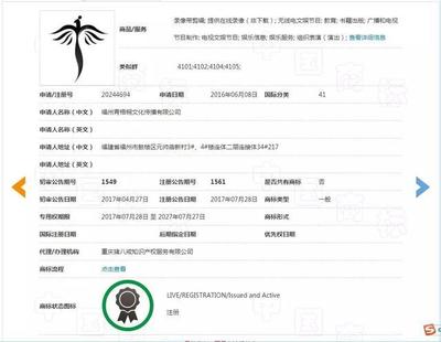 精心运营19年，却被商标抢注拖了后腿？信息技术咨询服务的警示与对策